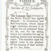 The Common Seal.
