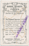 The diamond sparrow.