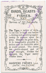 The tiger.