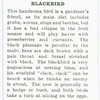 Blackbird.