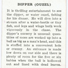 Dipper (ouzel).