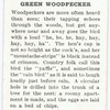 Green woodpecker.