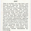 Jay.