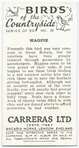 Magpie.