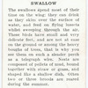Swallow.