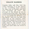 Yellow hammer.