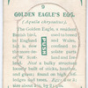 Golden eagle's egg.