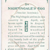 Nighingale's egg.