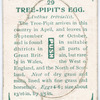 Tree pipit's egg.