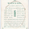 Wren's egg.