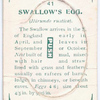 Swallow's egg.