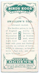 Swallow's egg.