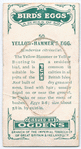 Yellow hammer's egg.