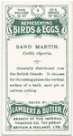 Sand martin, Cotile riparia.