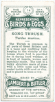 Song thrush, Turdus musicus.