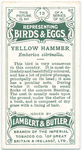 Yellow hammer, Emberiza citrinella.