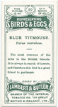 Blue titmouse, Parus caeruleus.