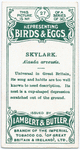 Skylark, Alauda arvensis.