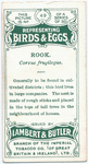 Rook, frugilegus.