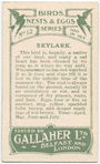 Skylark.