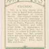 Cuckoo.