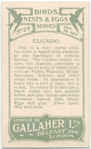 Cuckoo.
