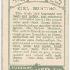Cirl bunting.