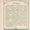 Quail.