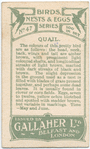 Quail.