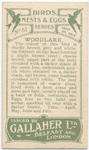 Woodlark.