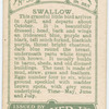 Swallow.