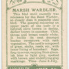 Marsh warbler.