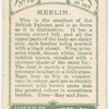 Merlin.