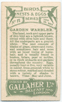 Garden warbler.