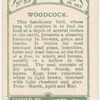 Woodcock.