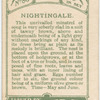 Nightingale.