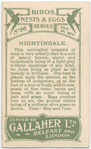 Nightingale.