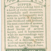 Dipper.