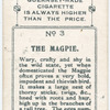 The magpie.