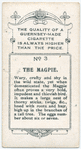 The magpie.