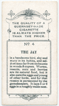 The jay.