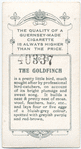 The goldfinch.