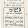 The yellowhammer.