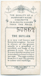 The skylark.