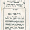 The tom-tit.