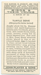 Turtle dove (female).