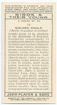 Golden eagle (female).