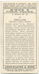 Swallow (female).