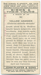 Yellow hammer (male).