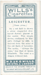 Town arms, Leicester.